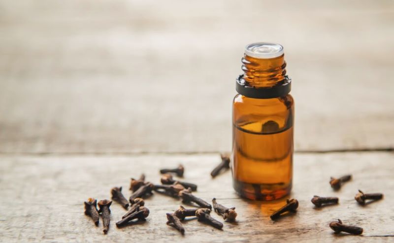 tinh dầu đinh hương